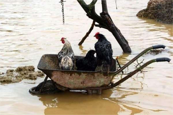 صورة بدون تعليق : فيضانات المغرب