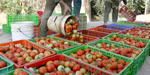 augmentation-fruits-légumes-en-russie