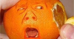 Visage cachée d’une mandarine